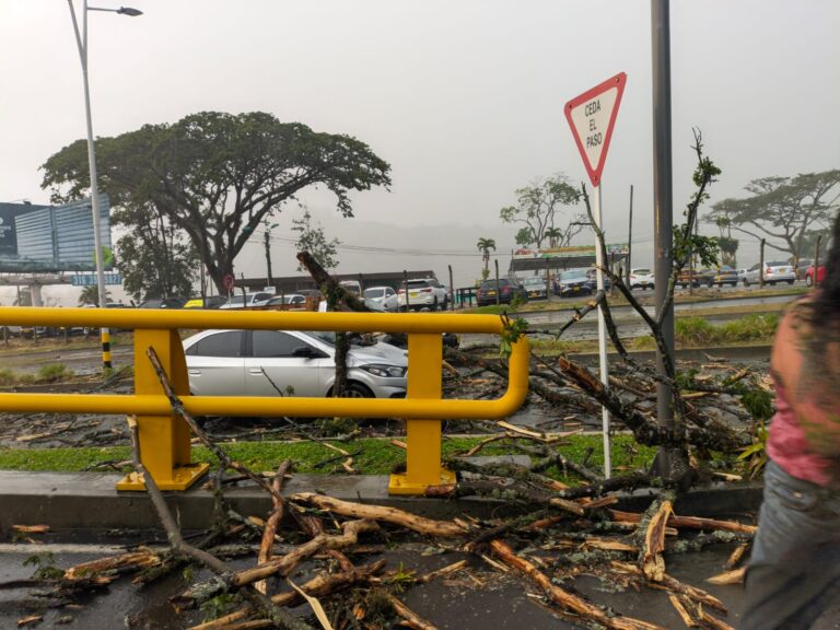 ¡LLEGÓ LA LLUVIA! PERO CON ESTRAGOS EN PEREIRA.