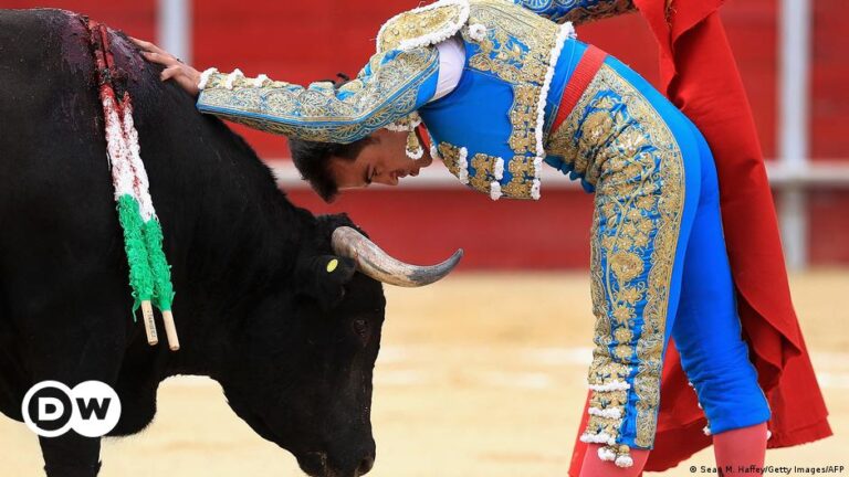 PROHIBICIÓN DE LAS CORRIDAS DE TOROS, A UN PASO DE SER LEY: AVANZA A SANCIÓN PRESIDENCIAL.