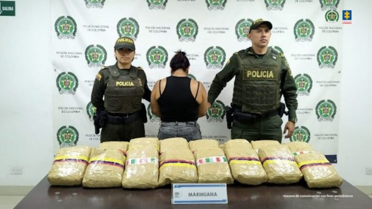 JUDICIALIZADA MUJER EN CARTAGO POR TRÁFICO DE NARCÓTICOS: EN SU PODER, MÁS DE 11 KILOS DE MARIHUANA