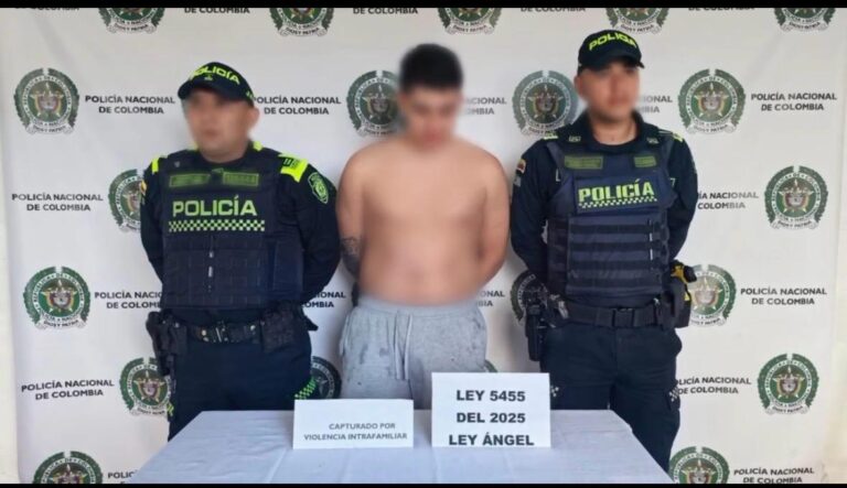 AGREDIÓ A SU PAREJA Y ARROJÓ AL VACÍO A UNA CACHORRA DESDE UN OCTAVO PISO: FUE CAPTURADO EN DOSQUEBRADAS